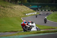 cadwell-no-limits-trackday;cadwell-park;cadwell-park-photographs;cadwell-trackday-photographs;enduro-digital-images;event-digital-images;eventdigitalimages;no-limits-trackdays;peter-wileman-photography;racing-digital-images;trackday-digital-images;trackday-photos